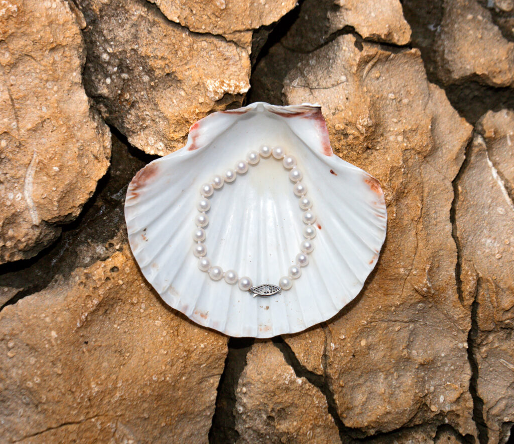 [VCCB09] 7mm AA+ White Freshwater Pearl Bracelet