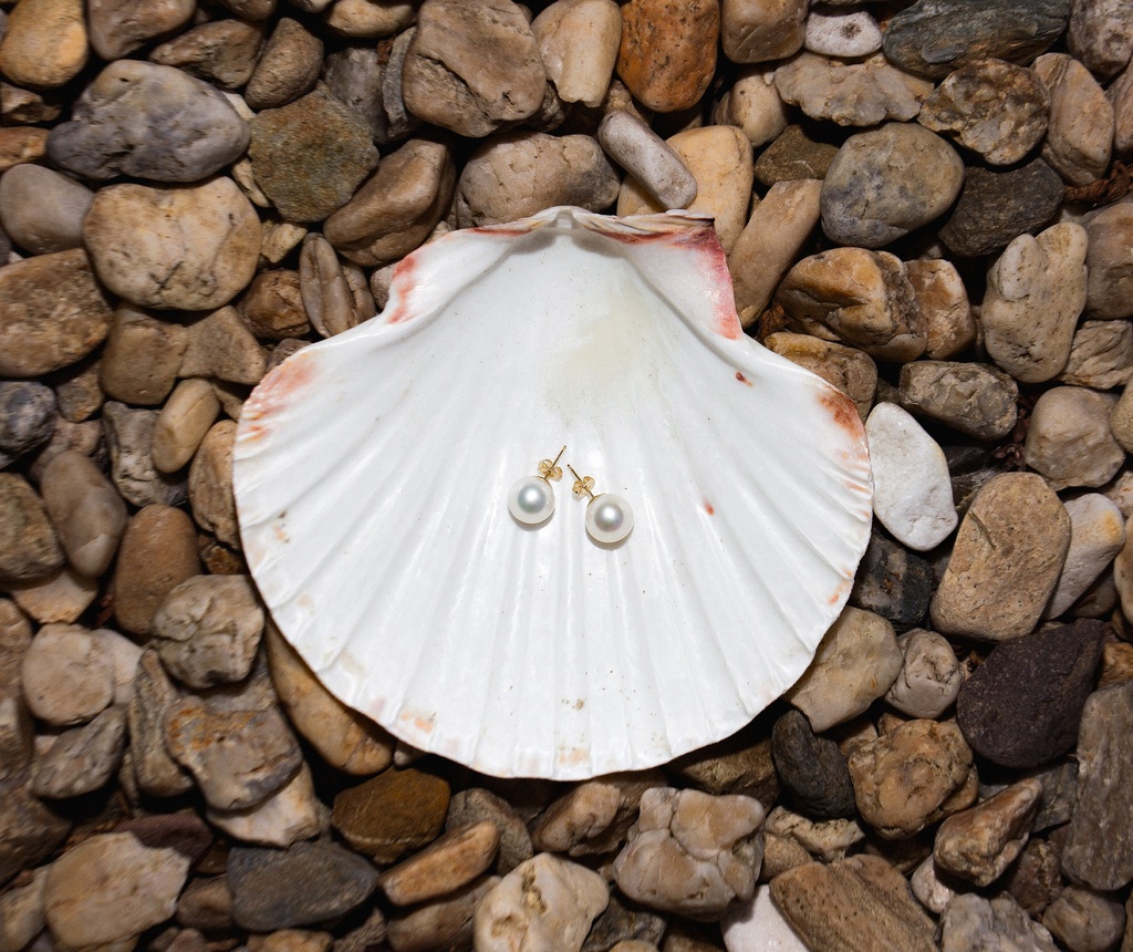 [VCCE06] 7-9mm AA+ White Freshwater Pearl Stud Earrings